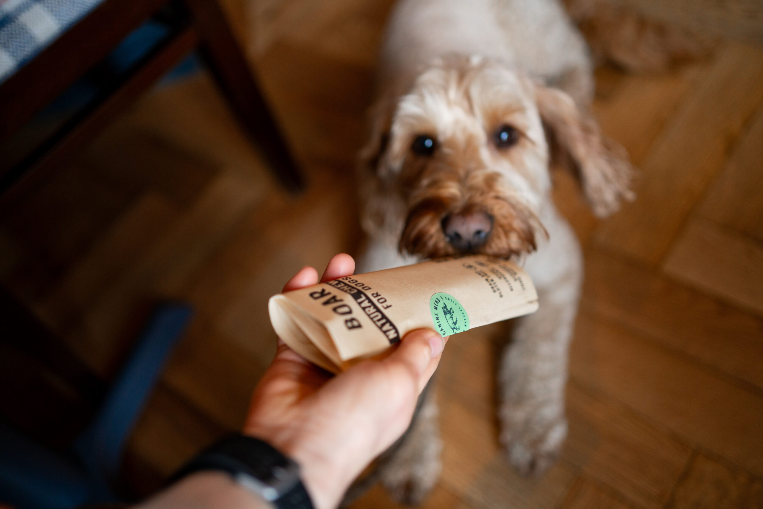 caninemenu sept24 16 caninemenu sept24 16