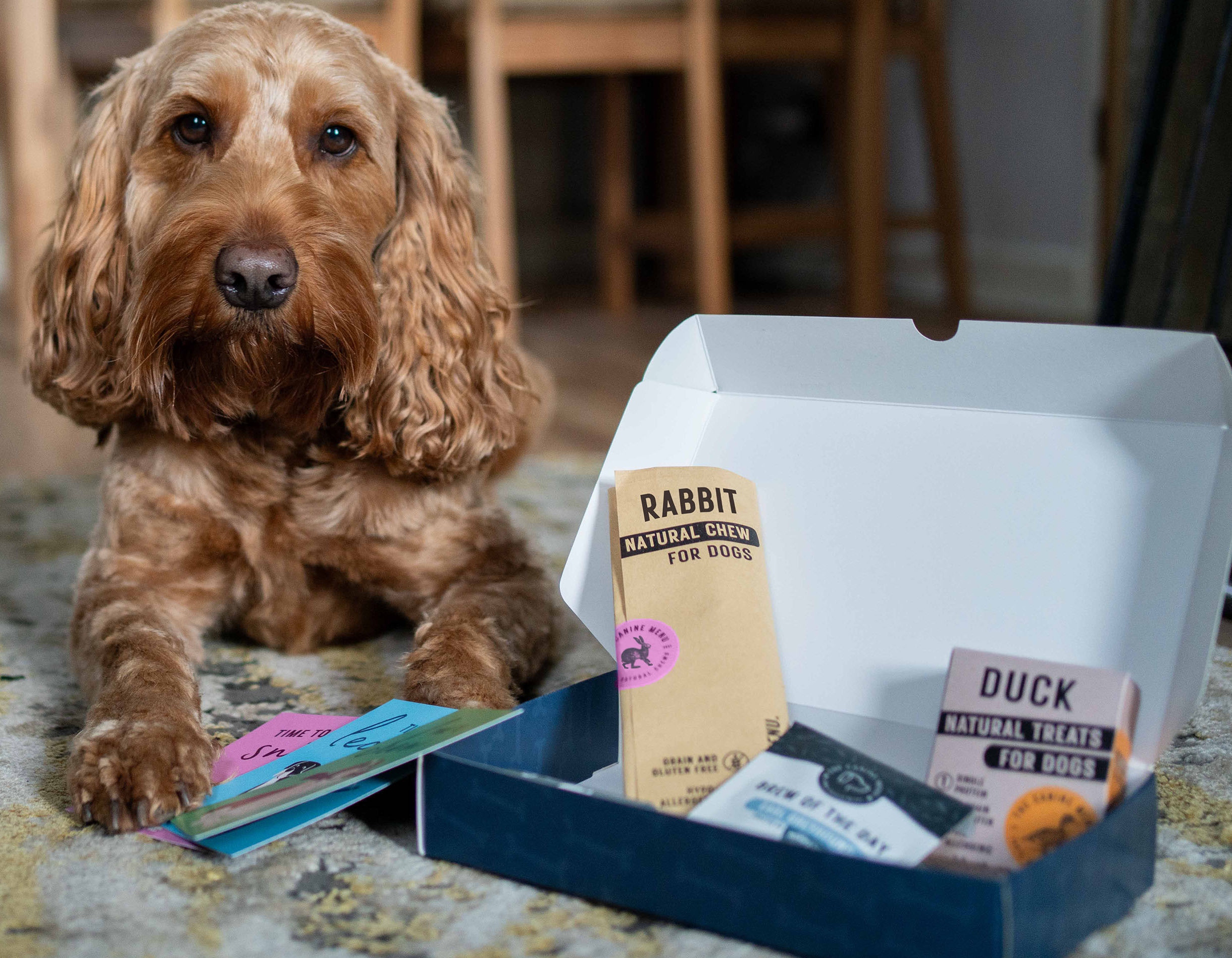 happy dog hamper (1) happy dog hamper (1)